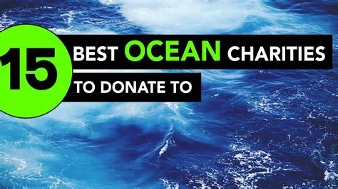 best ocean charities